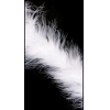 Marabou Boa White Approx. 15 Grams